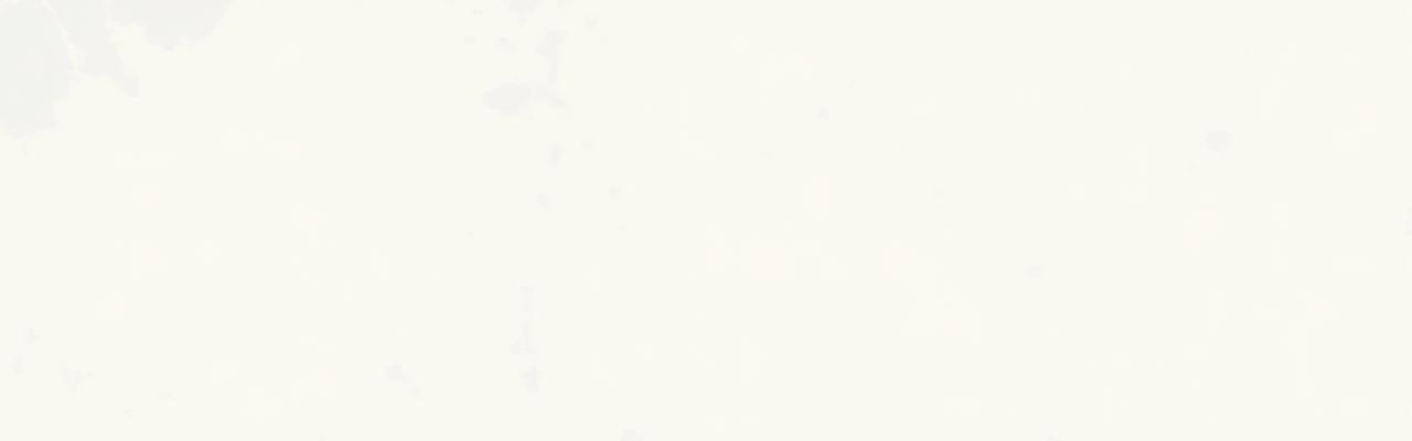 बेंगलुरु में सिरोक्को पेटल्स का स्थान, 56 लोटस लेन